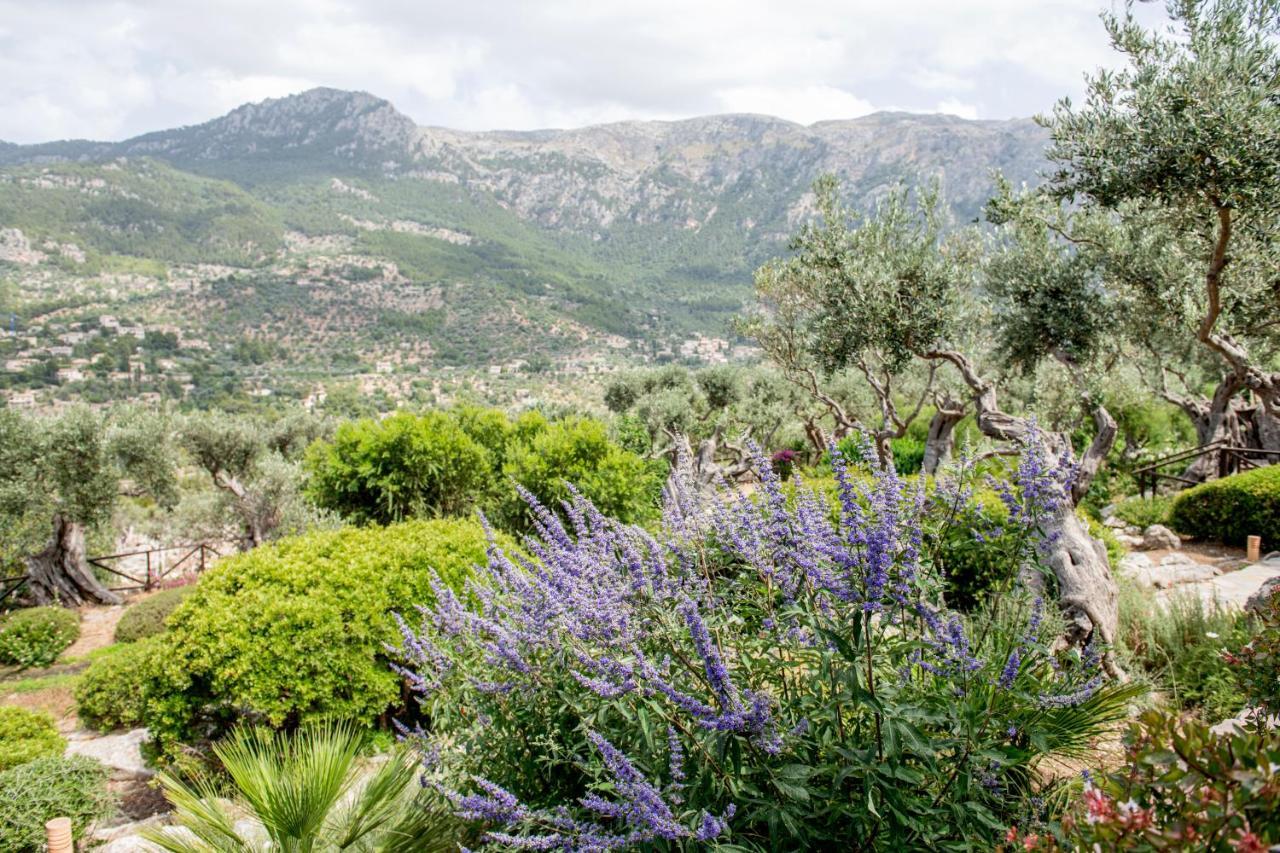 Sa Pedrissa Villa Deià Kültér fotó